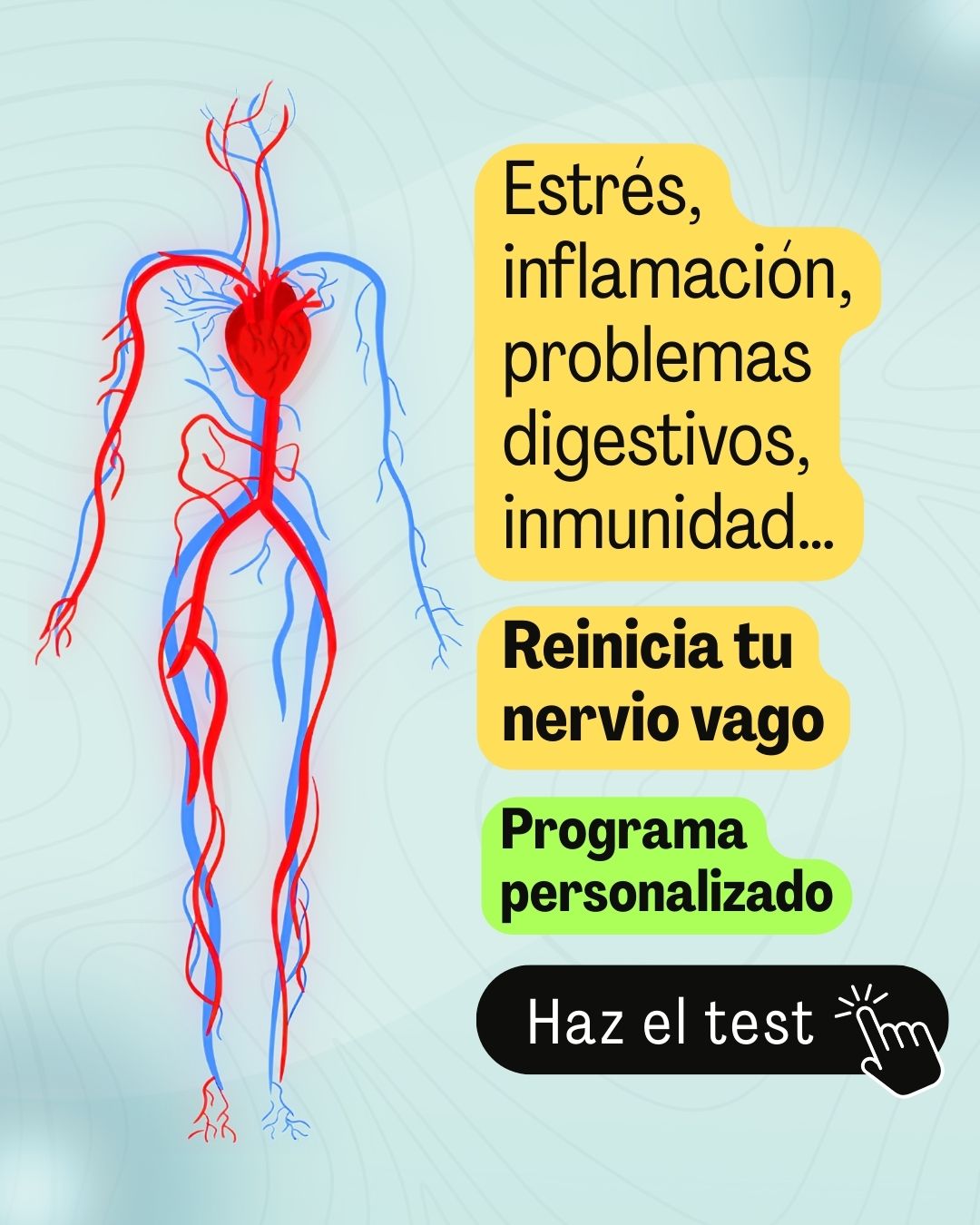 nervio vago programmo